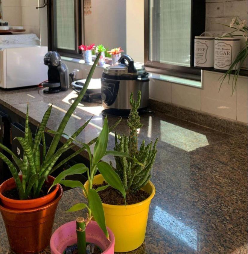 Alma De Mare Hostel Guarujá Zewnętrze zdjęcie